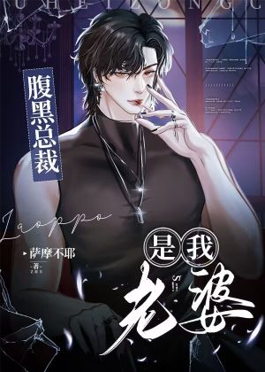 腹黑总裁是我老婆