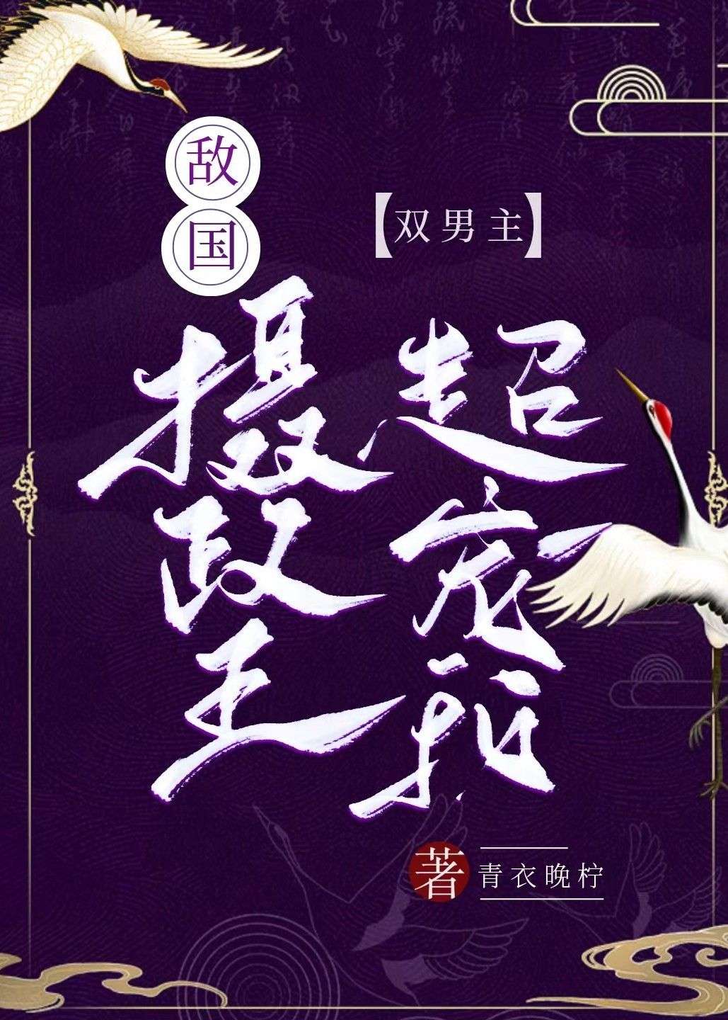 敌国摄政王超宠我