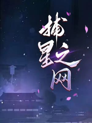 捕星之网