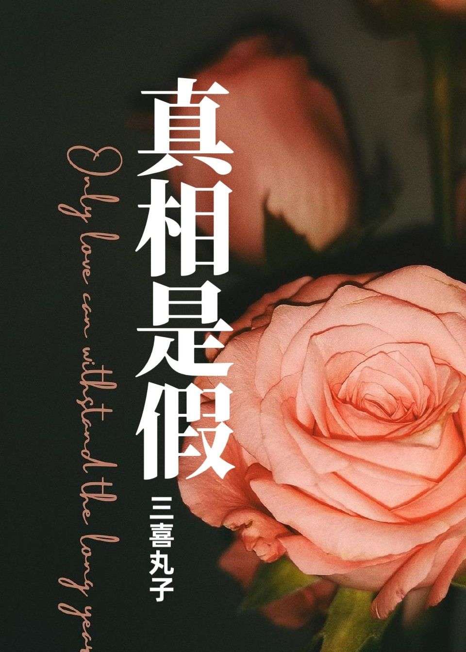 真相是假