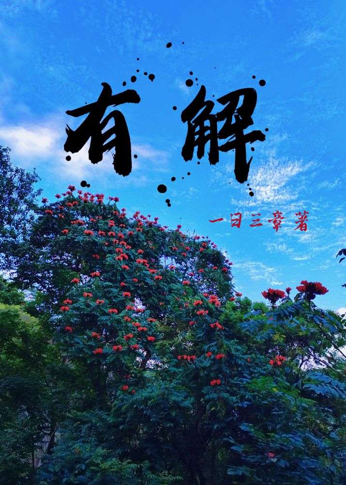 有解